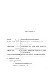 Fox Pro duomenų bazė 6 puslapis