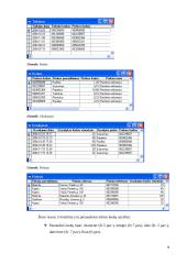 Fox Pro duomenų bazė 10 puslapis