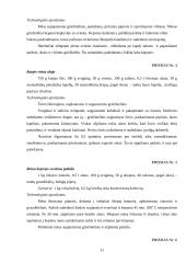 Vokiečių virtuvė 11 puslapis