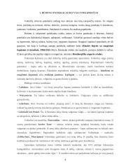 Vokiečių virtuvė 4 puslapis