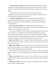 Funkcinių įmonės valdymo uždavinių projektavimo metodai 15 puslapis