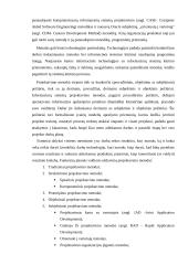 Funkcinių įmonės valdymo uždavinių projektavimo metodai 4 puslapis