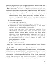 Gamybos marketingo planas: statybiniai armatūros tinklai AB "Montuotojas" 18 puslapis