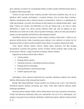 Gamybos marketingo planas: statybiniai armatūros tinklai AB "Montuotojas" 6 puslapis