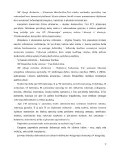 Gamybos marketingo planas: statybiniai armatūros tinklai AB "Montuotojas" 10 puslapis