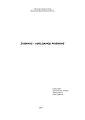 Žaidimas - auklėjamoji priemonė