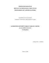 Geodezijos ir žemėtvarkos veiklos vadyba: AB "Klaipėdos kranai"
