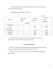 Geodezijos ir žemėtvarkos veiklos vadyba: AB "Klaipėdos kranai" 12 puslapis