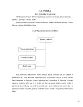 Geodezijos ir žemėtvarkos veiklos vadyba: AB "Klaipėdos kranai" 13 puslapis