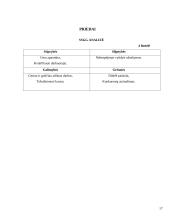 Geodezijos ir žemėtvarkos veiklos vadyba: AB "Klaipėdos kranai" 17 puslapis