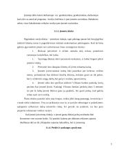 Geodezijos ir žemėtvarkos veiklos vadyba: AB "Klaipėdos kranai" 5 puslapis