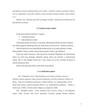 Geodezijos ir žemėtvarkos veiklos vadyba: AB "Klaipėdos kranai" 7 puslapis