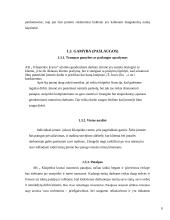 Geodezijos ir žemėtvarkos veiklos vadyba: AB "Klaipėdos kranai" 9 puslapis