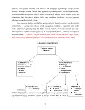 Žaidimas kaip imitavimo, intelektinės ir kalbos pratybos 11 puslapis