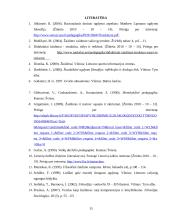 Žaidimas kaip imitavimo, intelektinės ir kalbos pratybos 15 puslapis