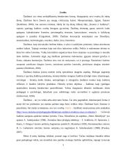 Žaidimas kaip imitavimo, intelektinės ir kalbos pratybos 3 puslapis