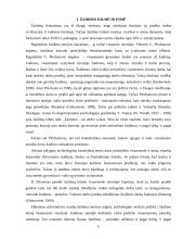 Žaidimas kaip imitavimo, intelektinės ir kalbos pratybos 5 puslapis