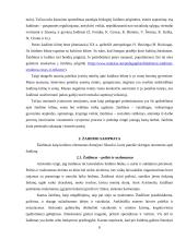 Žaidimas kaip imitavimo, intelektinės ir kalbos pratybos 6 puslapis