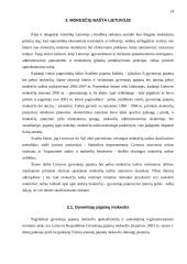 Gyventojų pajamų ir įmonių pelno mokesčio našta Lietuvoje ir kitose šalyse 13 puslapis