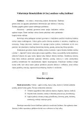 Žaidimų terapija. Viduriniojo ikimokyklinio (4-5 metų) amžiaus vaikų žaidimai 3 puslapis