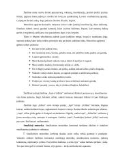 Žaidimų terapija. Viduriniojo ikimokyklinio (4-5 metų) amžiaus vaikų žaidimai 5 puslapis