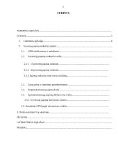 Gyventojų pajamų mokesčio (GPM) analizė 2 puslapis