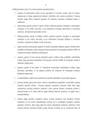 Gyventojų pajamų mokesčio (GPM) analizė 11 puslapis
