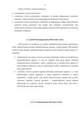 Gyventojų pajamų mokesčio (GPM) analizė 17 puslapis