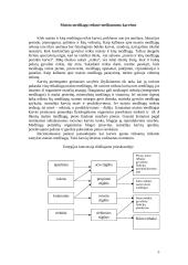 Gyvulių šėrimas 5 puslapis