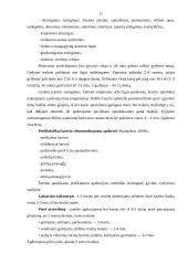 Gyvūnų gydymas lazeriu 11 puslapis