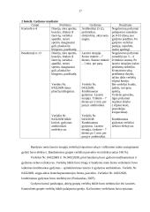 Gyvūnų gydymas lazeriu 17 puslapis