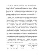 Globalinės ekonominės problemos 13 puslapis