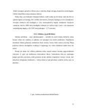 Globalinės ekonominės problemos 15 puslapis