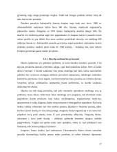 Globalinės ekonominės problemos 17 puslapis