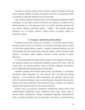 Globalinės ekonominės problemos 20 puslapis