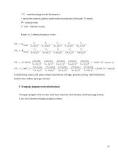 Hidroakumuliacinės elektrinės (HAE) projektas 19 puslapis