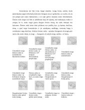 Žiemos sodas 3 puslapis