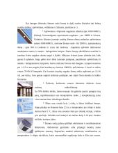 Žiemos sodas 5 puslapis