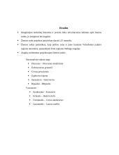 Žiemos sodas 10 puslapis