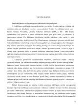 Hodegetika. Auklėjimo vertybės 11 puslapis