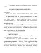 Hodegetika. Auklėjimo vertybės 7 puslapis