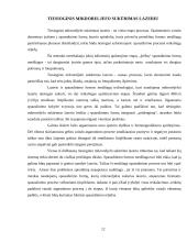 Ikispaudos procesų technologijos 11 puslapis