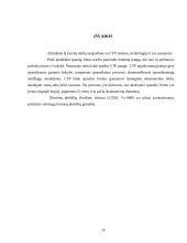 Ikispaudos procesų technologijos 13 puslapis