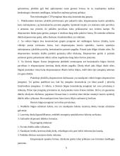 Ikispaudos procesų technologijos 5 puslapis