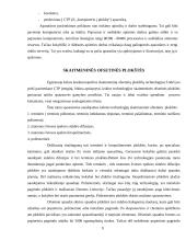 Ikispaudos procesų technologijos 8 puslapis