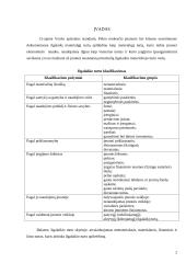 Ilgalaikio materialaus ir nematerialaus turto apskaita 2 puslapis