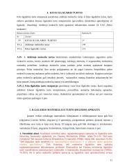 Ilgalaikio materialaus ir nematerialaus turto apskaita 11 puslapis