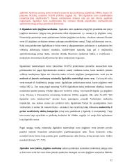 Ilgalaikio materialaus ir nematerialaus turto apskaita 12 puslapis