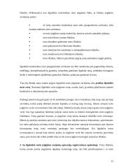 Ilgalaikio materialaus ir nematerialaus turto apskaita 13 puslapis