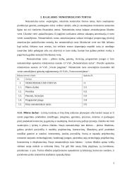 Ilgalaikio materialaus ir nematerialaus turto apskaita 3 puslapis